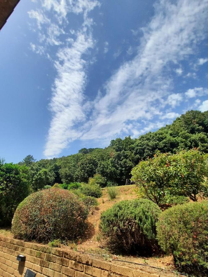Il Casolare Val Di Mare Lägenhet Riparbella Exteriör bild